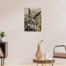 Suche nach birds of prey poster Nature
