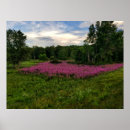 Suche nach landschaftliche natur poster Wiese