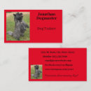 Suche nach gehorsam visitenkarten Jede person