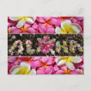 Suche nach honu postkarten Paradies