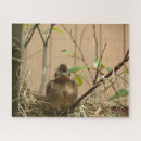 Suche nach kardinal puzzle Natur