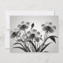Suche nach kosmos blume postkarten Natur