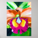 Suche nach orchideen blume poster Bunt
