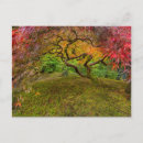 Suche nach ahornbaum postkarten Herbst