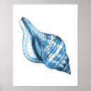 Suche nach muschel poster Küsten