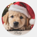 Suche nach retriever aufkleber Weihnachtsaufkleber