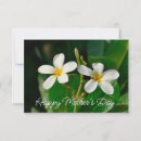 Suche nach frangipani karten Jede person