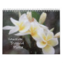Suche nach plumeria kalender Hibiskus