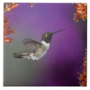 Suche nach mcdonalds fliesen Mary ann mcdonald