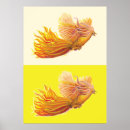 Suche nach phoenix vogel poster Vögel