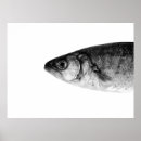 Suche nach schöne fische poster Wasser