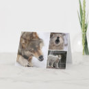 Suche nach wolfe Geburtstag