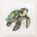 Suche nach schildkröten untersetzer Ozean