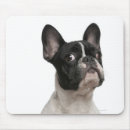 Suche nach alte kamera mousepads Studioschuß