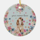 Suche nach cocker spaniel hund Für haustiere