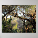 Suche nach forrest poster Foto