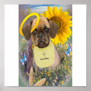 Suche nach puggle poster Mops