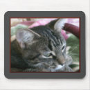 Suche nach kitty mousepads Jede person