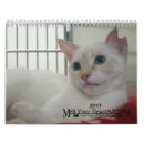Suche nach meow kalender Kätzchen