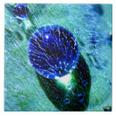 Suche nach regentropfen fliesen Für alle