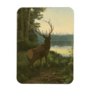 Suche nach am see magnete Natur