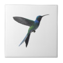 Suche nach kolibri fliesen Für alle