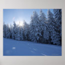 Suche nach schneebedeckter wald poster Blau