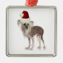 Suche nach zucht ornamente Jede person