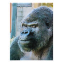 Suche nach gorillas poster Primate