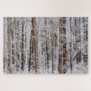 Suche nach eissturm Wald