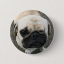 Suche nach pug buttons Mops