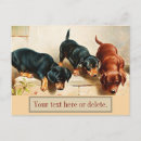 Suche nach vintage sammlerstücke postkarten Hund