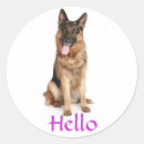 Suche nach deutscher schäferhund aufkleber Für alle