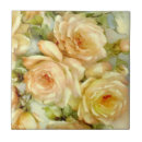 Suche nach friedensrose Blume