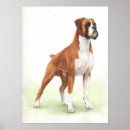Suche nach boxer dog poster Druck