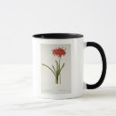 Suche nach amaryllis tassen Joseph