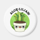 Suche nach aloe magnete Pflanze