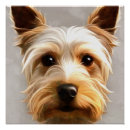 Suche nach yorkshire terrier poster Hund