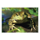 Suche nach lebensraum poster Tierwelt