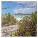 Suche nach afrika fliesen Strand