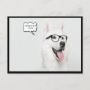 Suche nach cooler hund postkarten Für alle