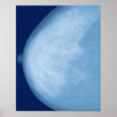 Suche nach body poster Biology