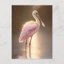 Suche nach rosette postkarten Jede person