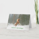 Suche nach pferdeweihnachtskarte Appaloosaweihnachtskarte