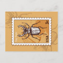 Suche nach beetle postkarten Urlaub