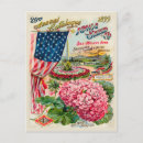 Suche nach 1899 postkarten Blume