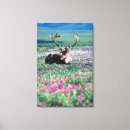 Suche nach alaska leinwandbilder Blume