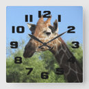 Suche nach giraffe wanduhren Für kinder