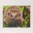 Suche nach igel puzzle Natur