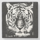 Suche nach weißer tiger untersetzer Wildtiere